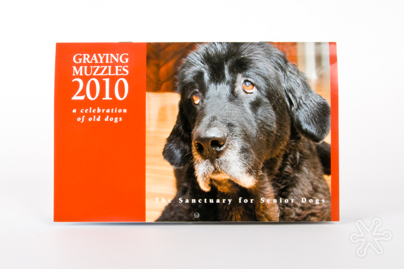 graying-muzzles-calendar-by-jakprints1
