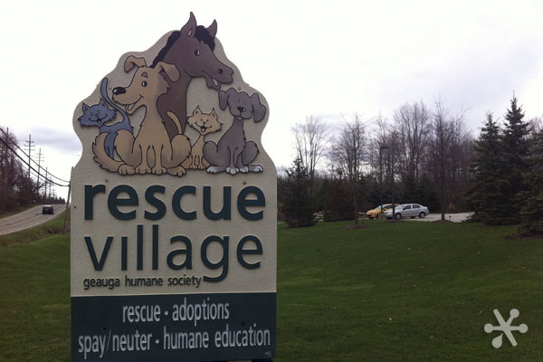 jakprints-rescue-village-01